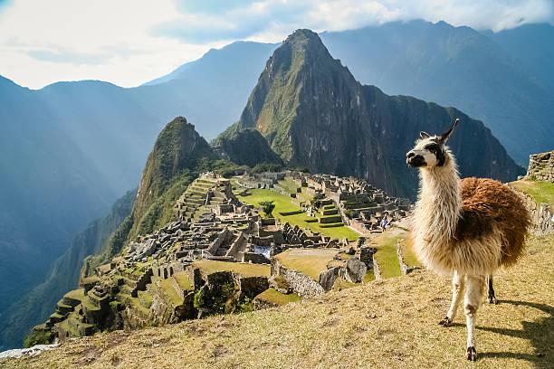 Exclusive & guided tour of Peru and Ecuador